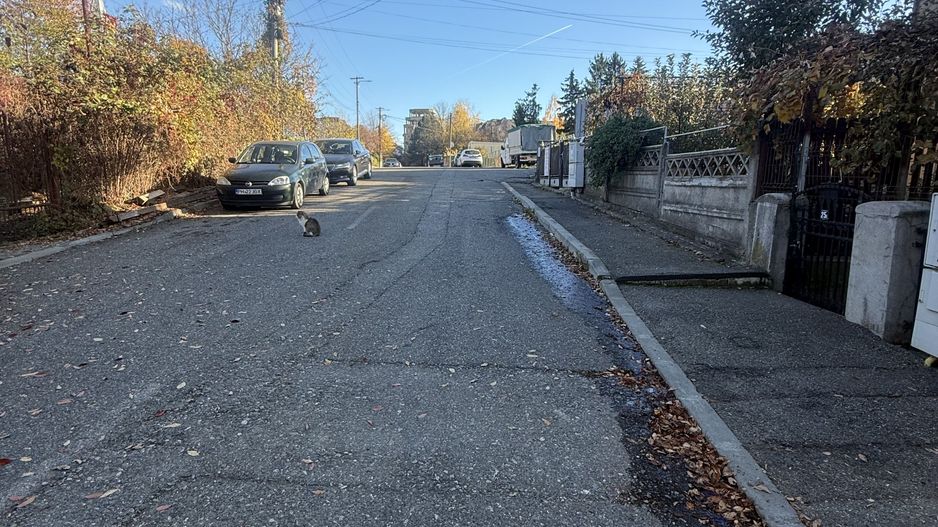 2 corpuri de Casă renovate + teren 125 mp Campina - Poză 32