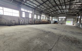 Spațiu Industrial, 900mp, Zona Bărăbanț - Poză 5