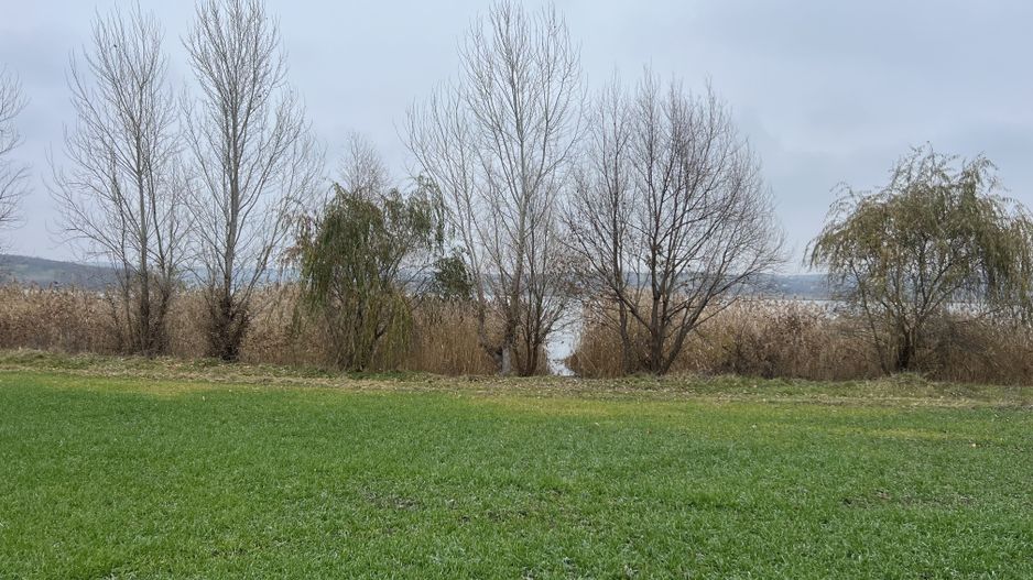 Teren cu acces direct la r.Nistru. - Poză 1