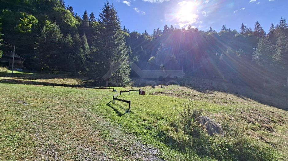 Teren intravilan la munte - Poză 8