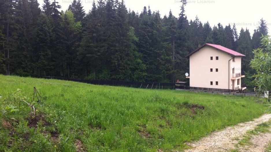 Teren intravilan Cotul Donului,pretabil Hotel/pensiune. - Poză 14