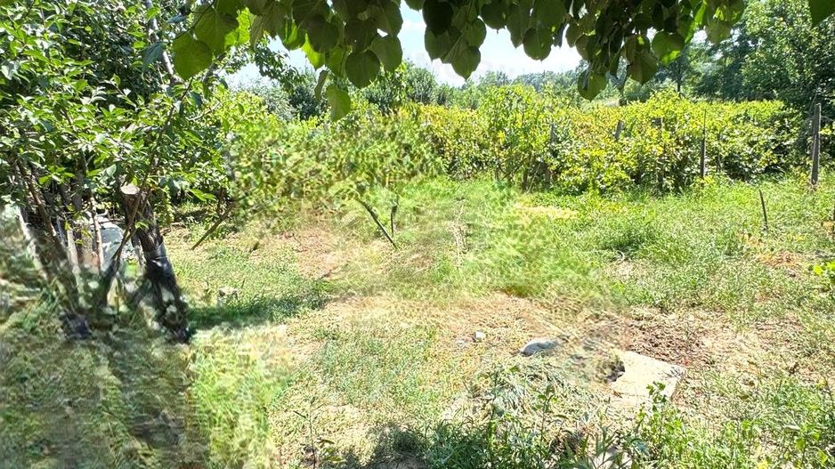 99.900 Euro casa+teren 1000 mp(concesiune) in com Sendreni - Poză 16