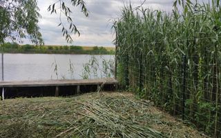 Vanzare Vila Snagov - Poză 59