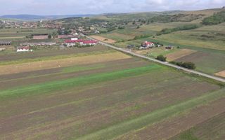 Teren 10.670 mp | Borșa Cluj | Front 38m | Utilități - Poză 10