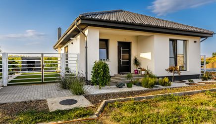 Finberg Residence Arad