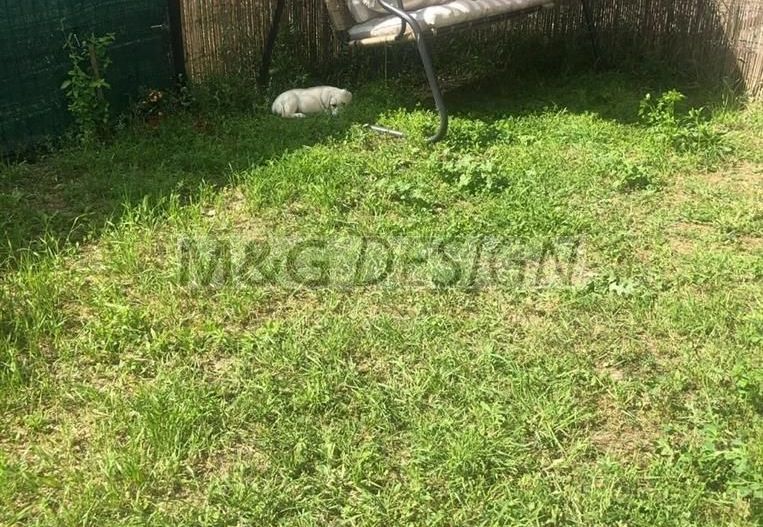 Apartament 2 camere zona Mehala - Poză 6