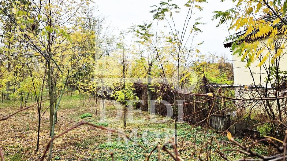 Casa de vanzare cu teren de 1532 mp in satul Berini, Timis - Poză 7