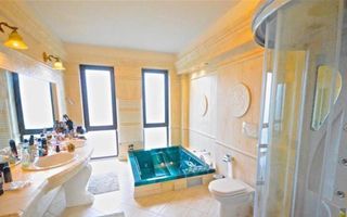 Vila superba langa padure in Pipera, Iancu Nicolae - Poză 6