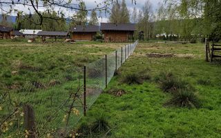 Teren Saru Dornei / Neagra Sarului - oportunitate investitie - Poză 3