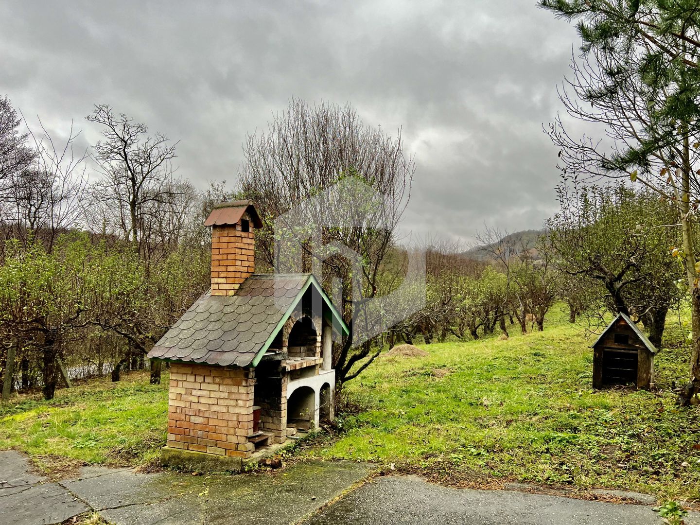 Teren cu livada+ casa de vanzare in Talmacel- 4000 mp - Poză 2