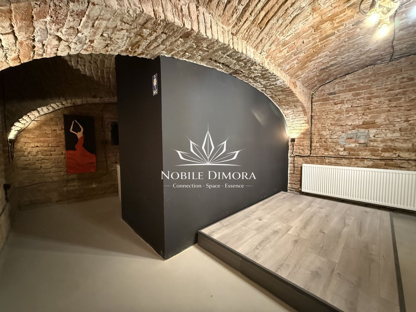 SAD - Spatiu comercial central de 160mp in Arad - ideal: crama, cafenea, magazin - Poză 7