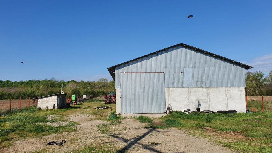 Hala de vanzare Costesti - Poză 5