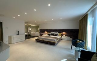 Penthouse Herastrau I Zona de Nord - Poză 3