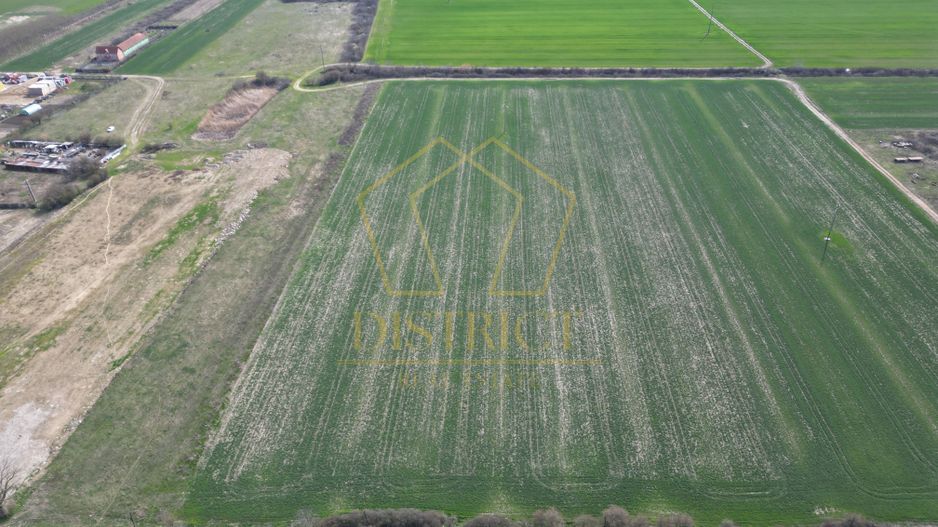 Teren intravilan servicii si depozitare | Freidorf - Poză 5