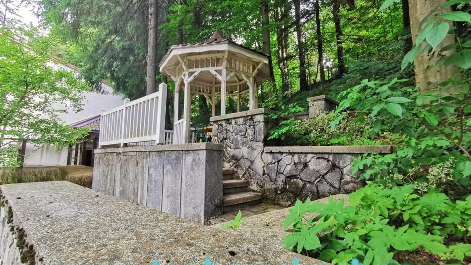 Vila deosebita Sinaia- Cumpatul - Poză 8