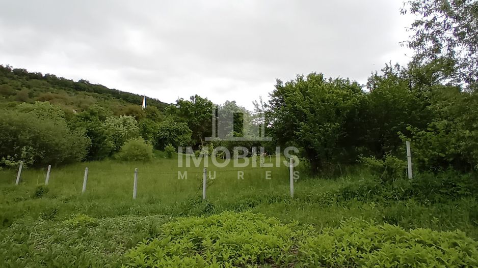 Teren intravilan | Budiu Mic | 994 mp - Poză 5