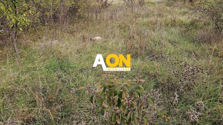 Teren intravilan construibil, 585 mp, zona Alba-Micesti - Poză 2