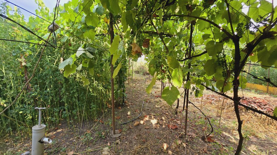 Teren intravilan 633mp in Gradiste - Poză 3