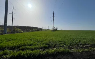 Teren 41,49 ari Ghidighici | deschidere 122 m | agricol | investiție - Poză 11
