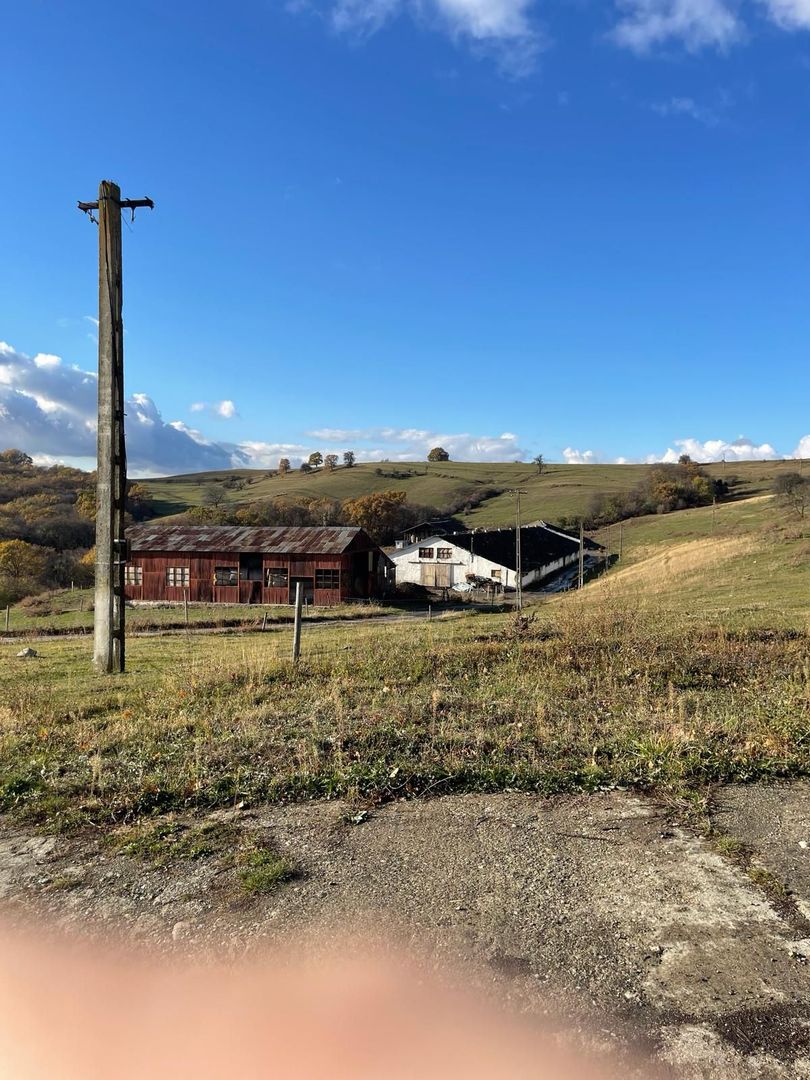 Ferma cu teren de 200 hectare - Poză 9