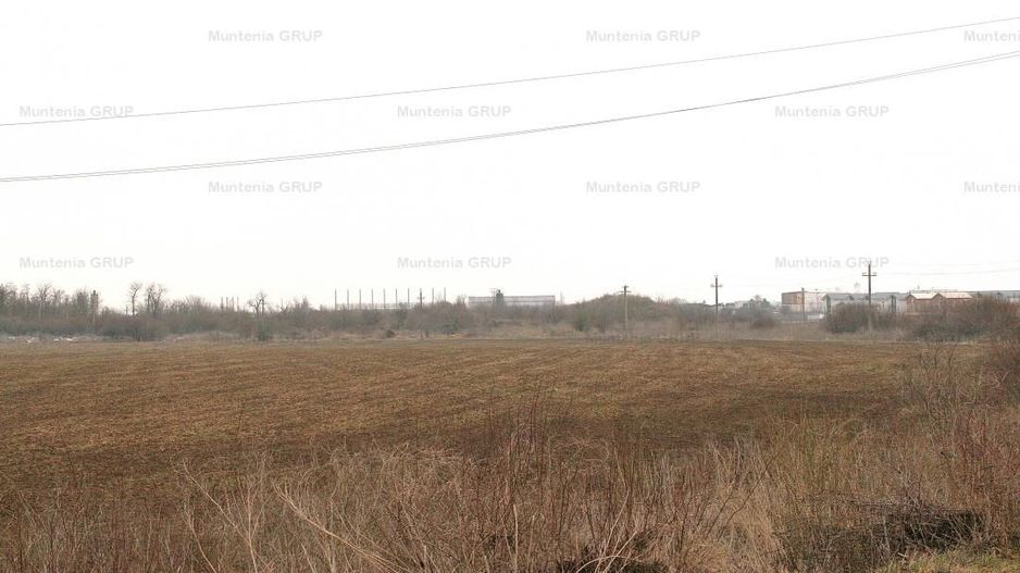 OTOPENI - Str. Drumul Garii Balotesti, 42100 mp. teren in zona construibila - Poză 5