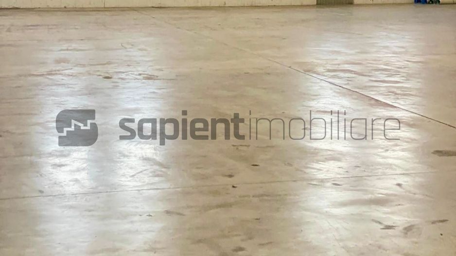 Sapient | Hală situata în com. Borș - Poză 12