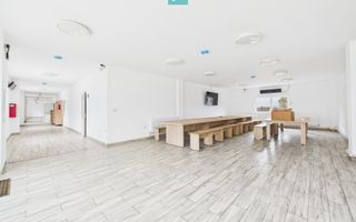 Teren 9.419 mp + hale 7.000 mp – Huși, Vaslui - Poză 7