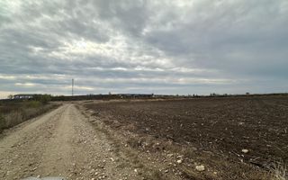 Teren extravilan de vânzare – în apropierea autostrăzii A1, km 80 - Poză 2