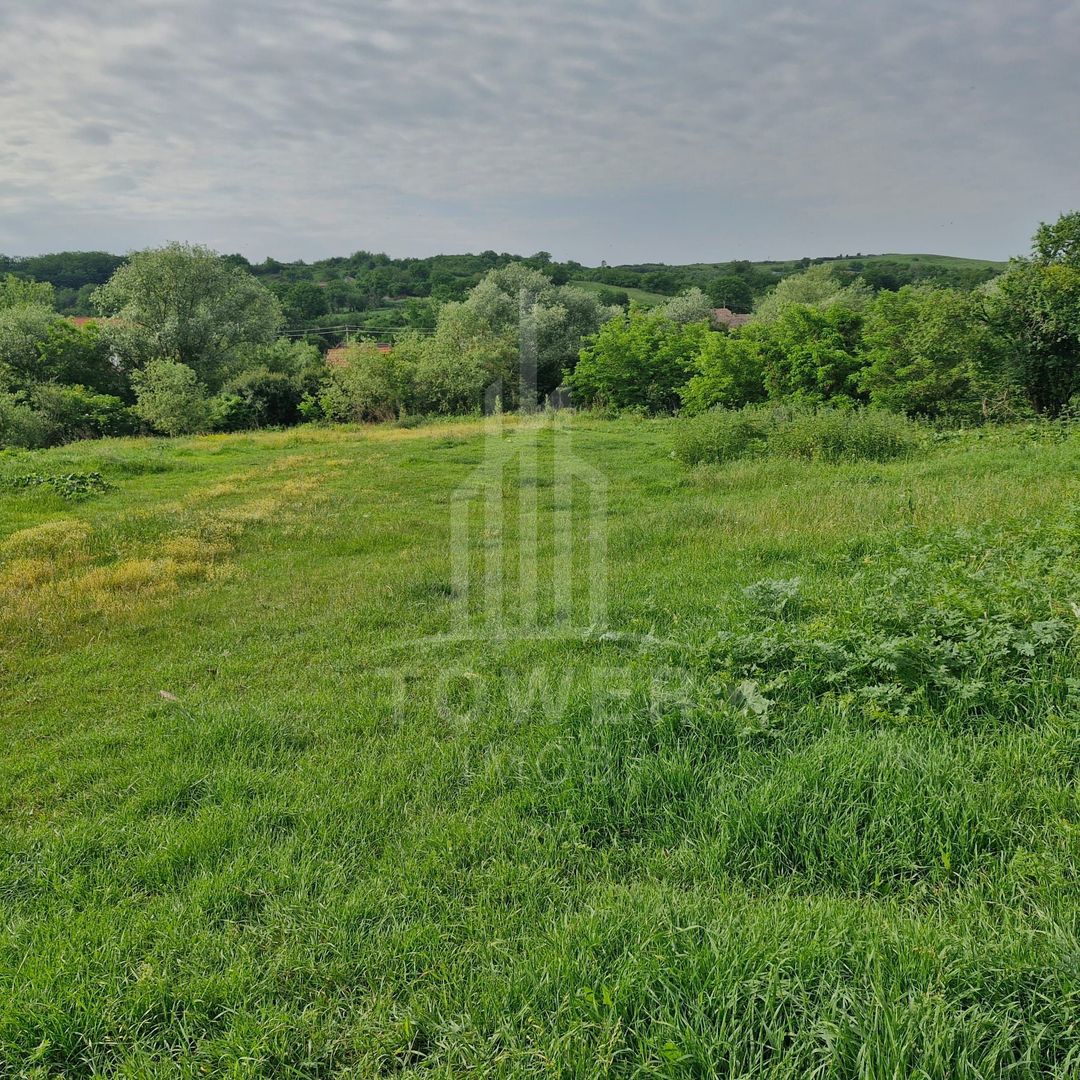 De vânzare Teren versatil 3.919 mp  in localitatea Armeni. Sibiu - Poză 7