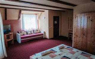 Pensiune | 10 camere | Teren |2.300 Mp - Poză 5