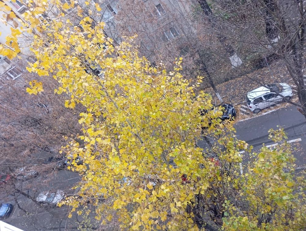 De inchiriat garsoniera 45mp, Monitorul Oficial/13 Septembrie - Poză 10