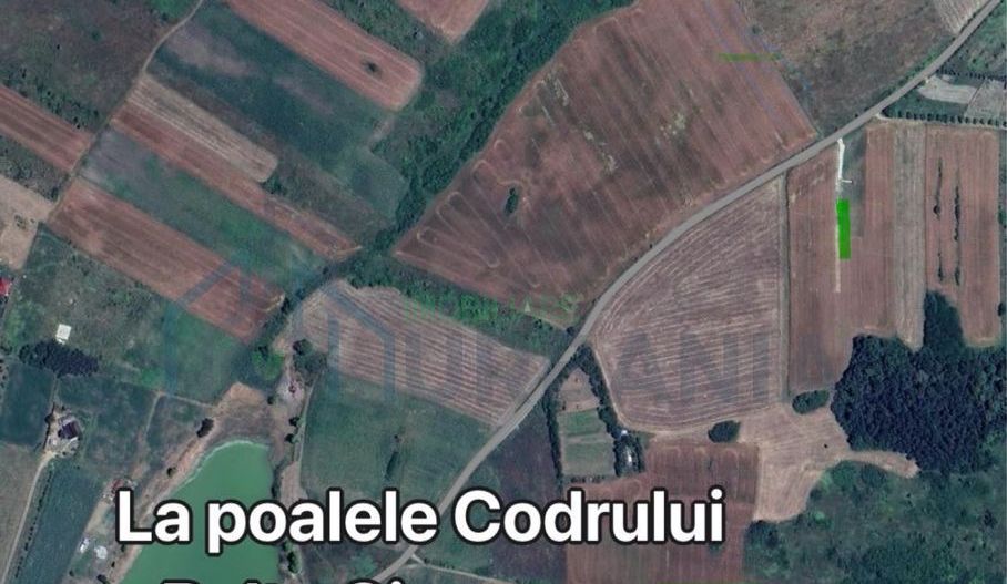 Teren intravilan ,Barnova ,Iași, 834 mp, priveliste panoramica deosebita,langa padure! - Poză 3