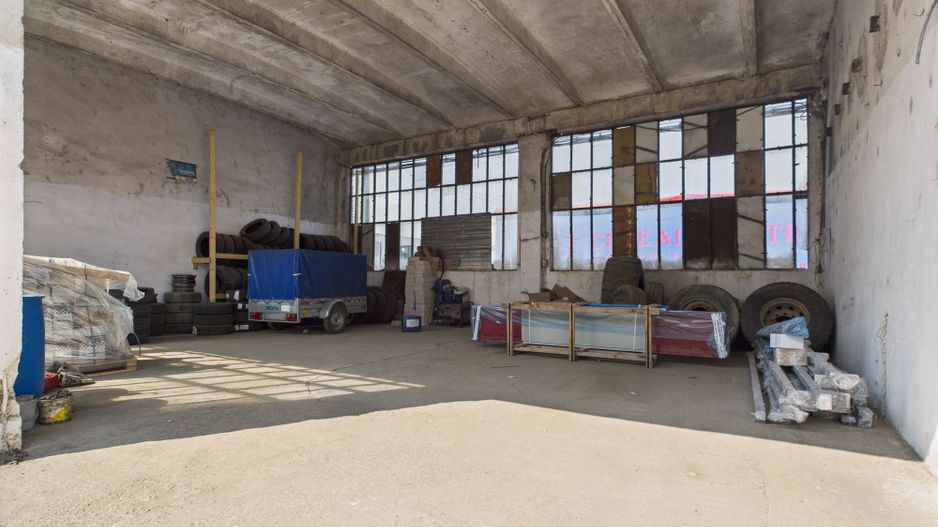 Complex industrial cu hale și teren  în Orțișoara - Poză 14