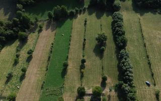 Teren intravilan  – Tohanul Nou, Zărnești - Poză 2