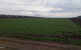 Teren Intravilan Vorovesti, 1 ha, deschidere la DJ 248A - Poză 4