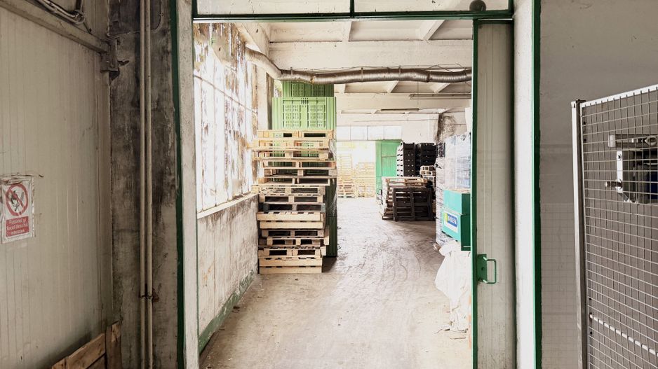 Hala industriala de vanzare Arad – 589 mp - Poză 1