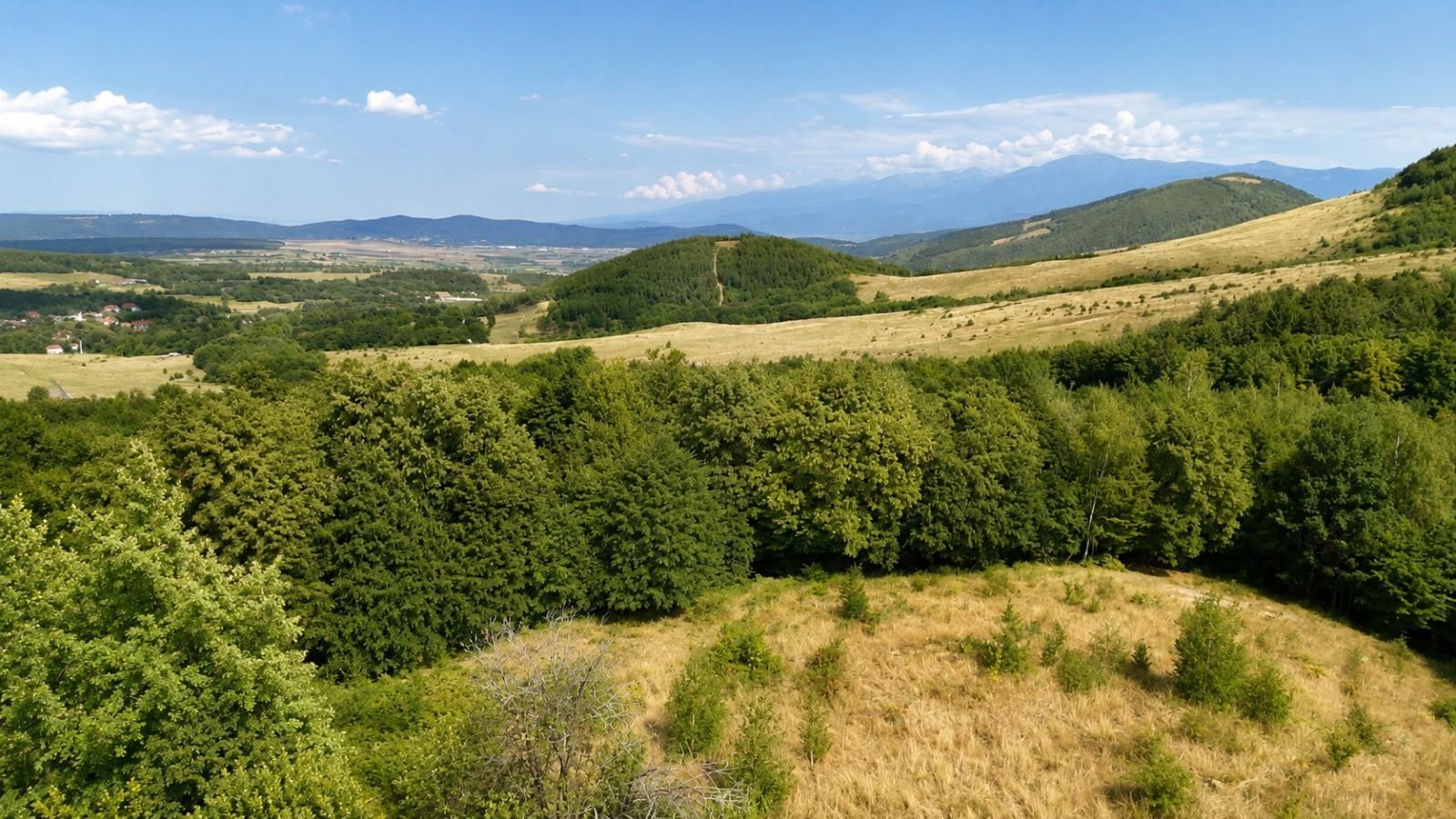 Teren intravilan 3000mp, Regim P+1+M, Sibiu, Tocile - Sadu - Poză 6