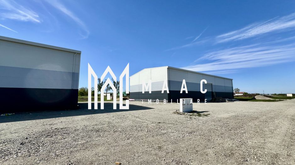 Hală de vânzare  I Cu Utilități I Sibiu Vest I Dezvoltator - Poză 5