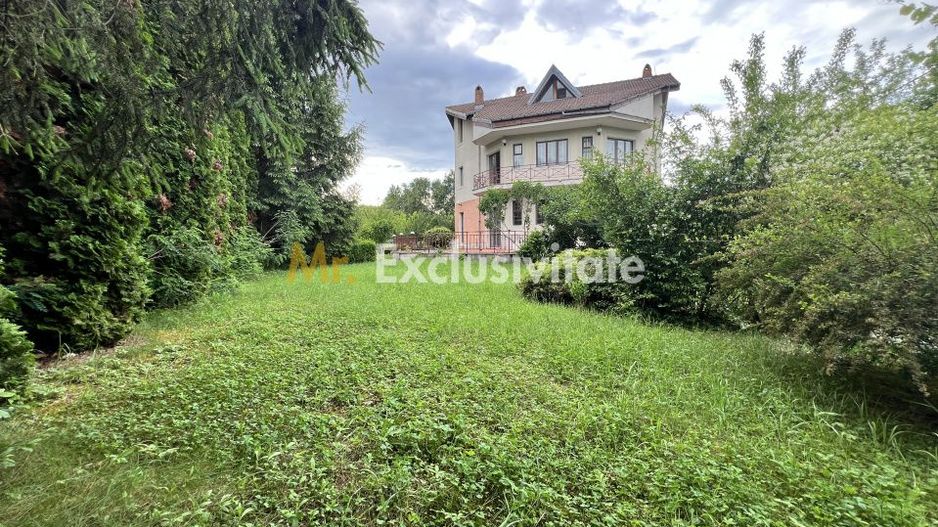 Acasă la Bascov- Județ Arges cu peisaj de poveste - Poză 6
