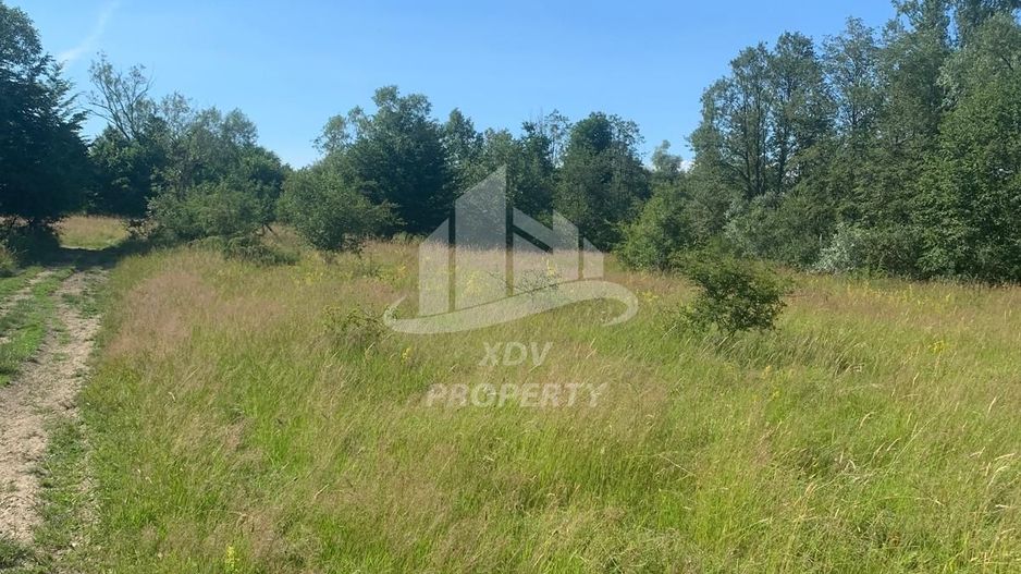 Teren in zona turistica Porumbacu de Sus - Poză 3