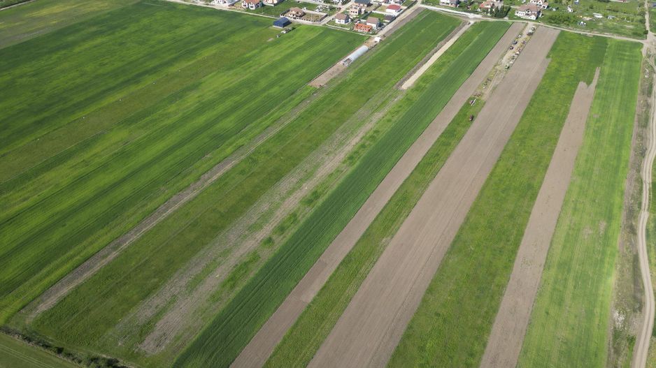 Loc de casa de 504 mp în Livada - Poză 14