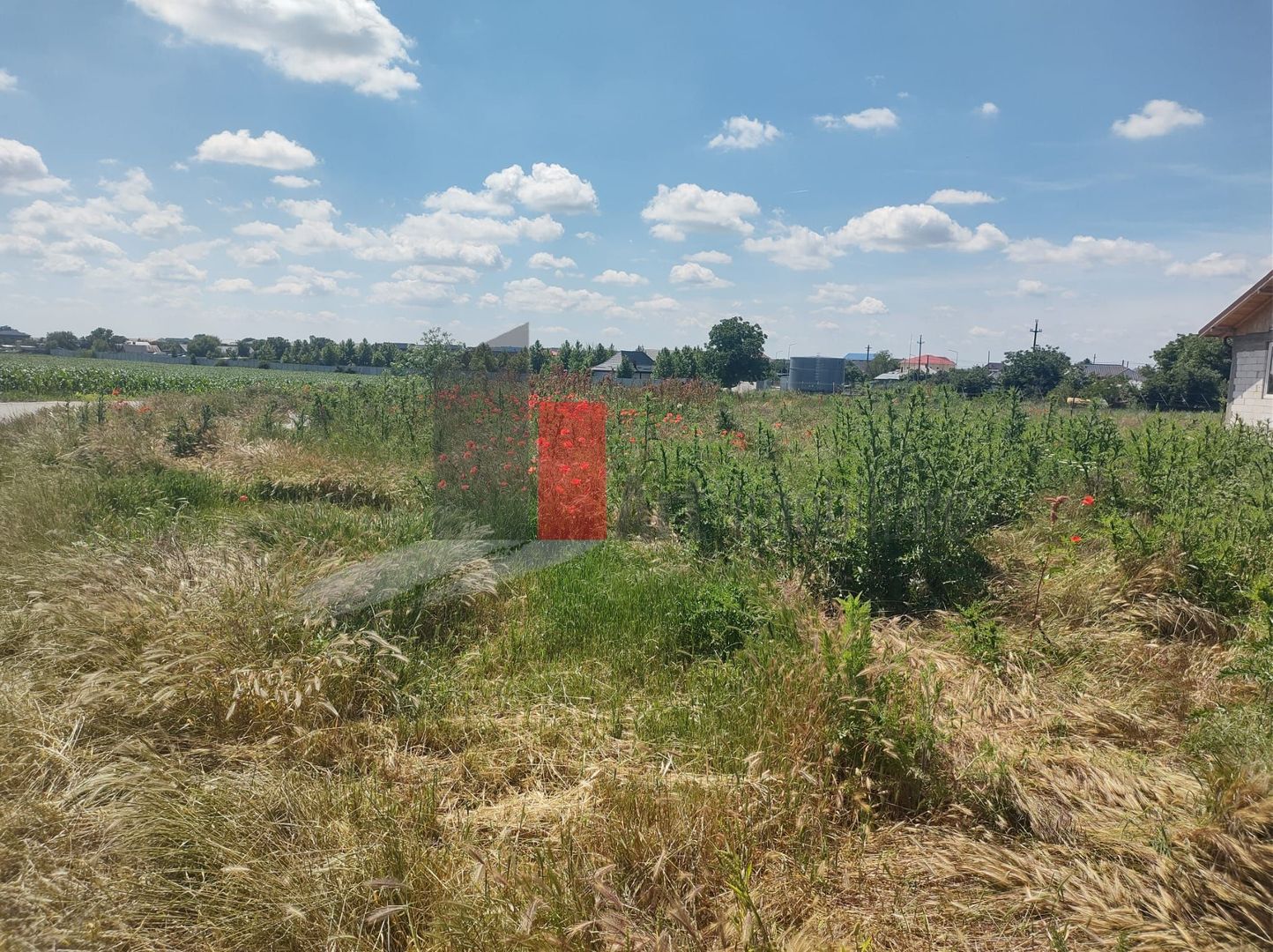 Vânzare 2 loturi de casă Dobreni Giurgiu - Poză 3
