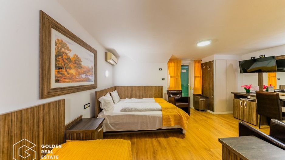 Vilă multifuncțională la cheie situată în Micalaca - Poză 46