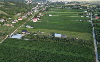 Teren intravilan de vânzare 4.300mp Buhuși - Poză 8