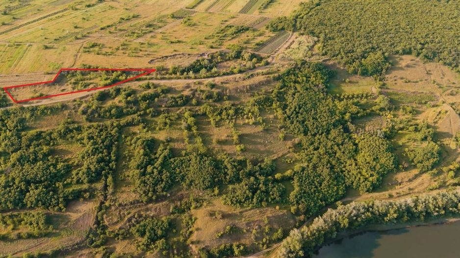 Teren agricol intravilan, 63 ari pe malul Nistrului, Doroțcaia - Poză 1
