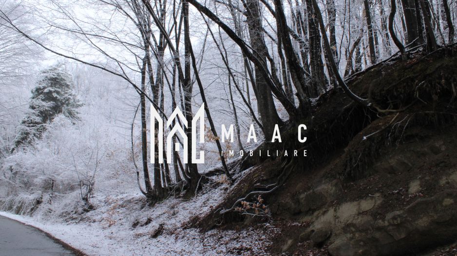 Teren cu izvor de apă minerală  Dangești, Punctul Valea Mare - Poză 20