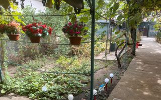 Teren cu construcții și potențial de dezvoltare | Ciupercă – Domenii - Poză 1