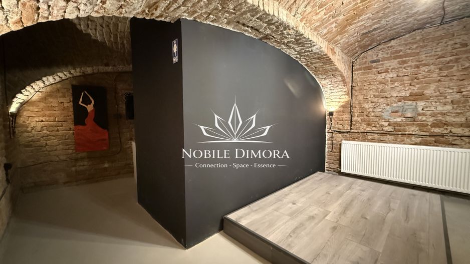 SAD - Spatiu comercial central de 160mp in Arad - ideal: crama, cafenea, magazin - Poză 7