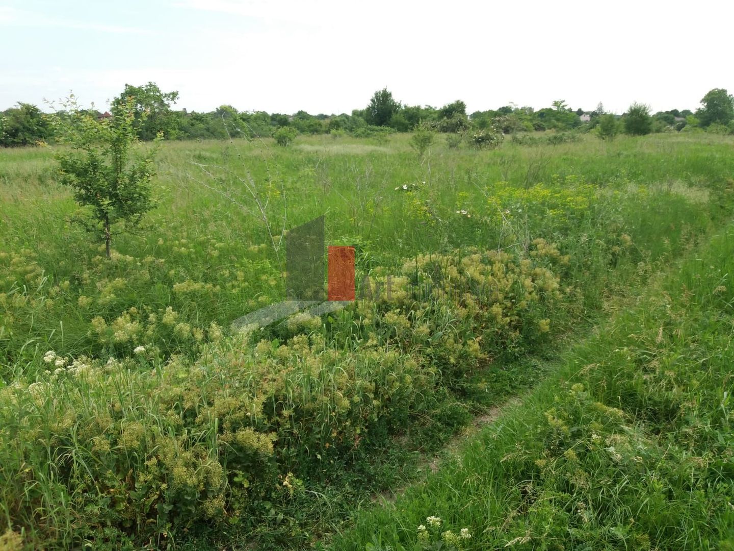 Teren Buftea cu iesire la lac - Poză 10