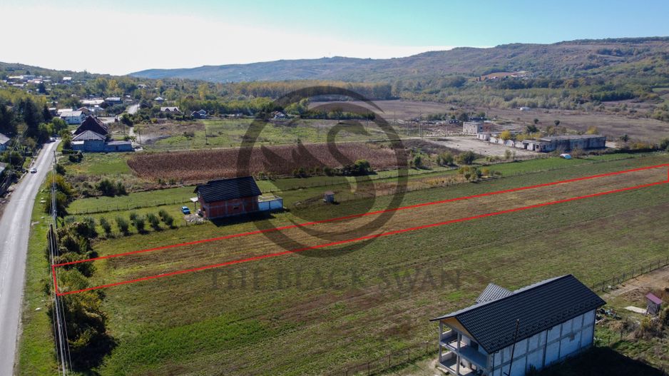 Teren intravilan de vanzare | 3.084mp | Plavia - Urlati | Comision 0% - Poză 4